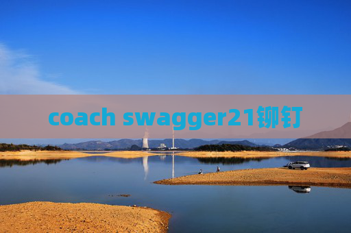 coach swagger21铆钉